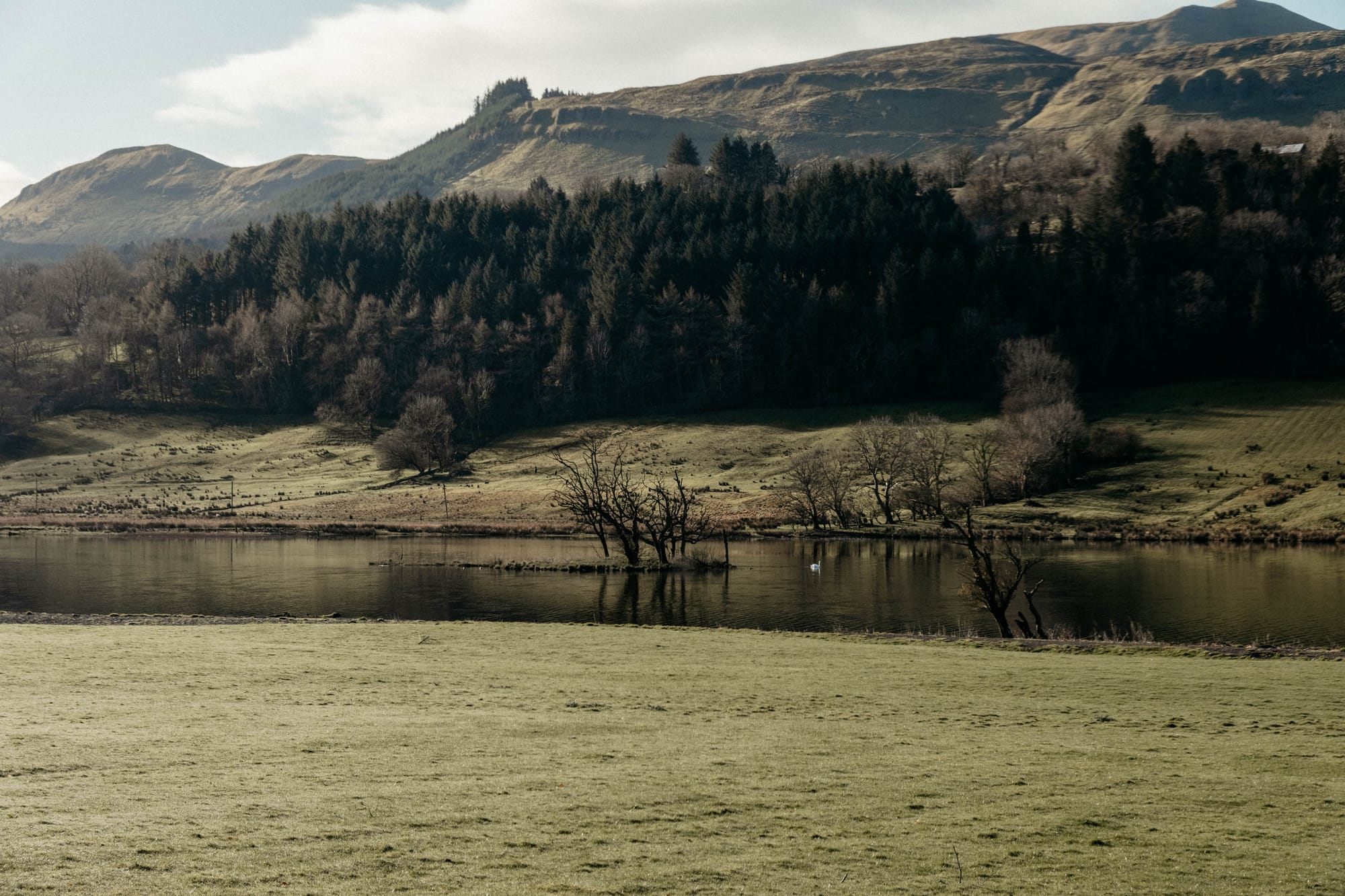 8 Tipps für deine Irland Rundreise: Auto, Fähre & Co.