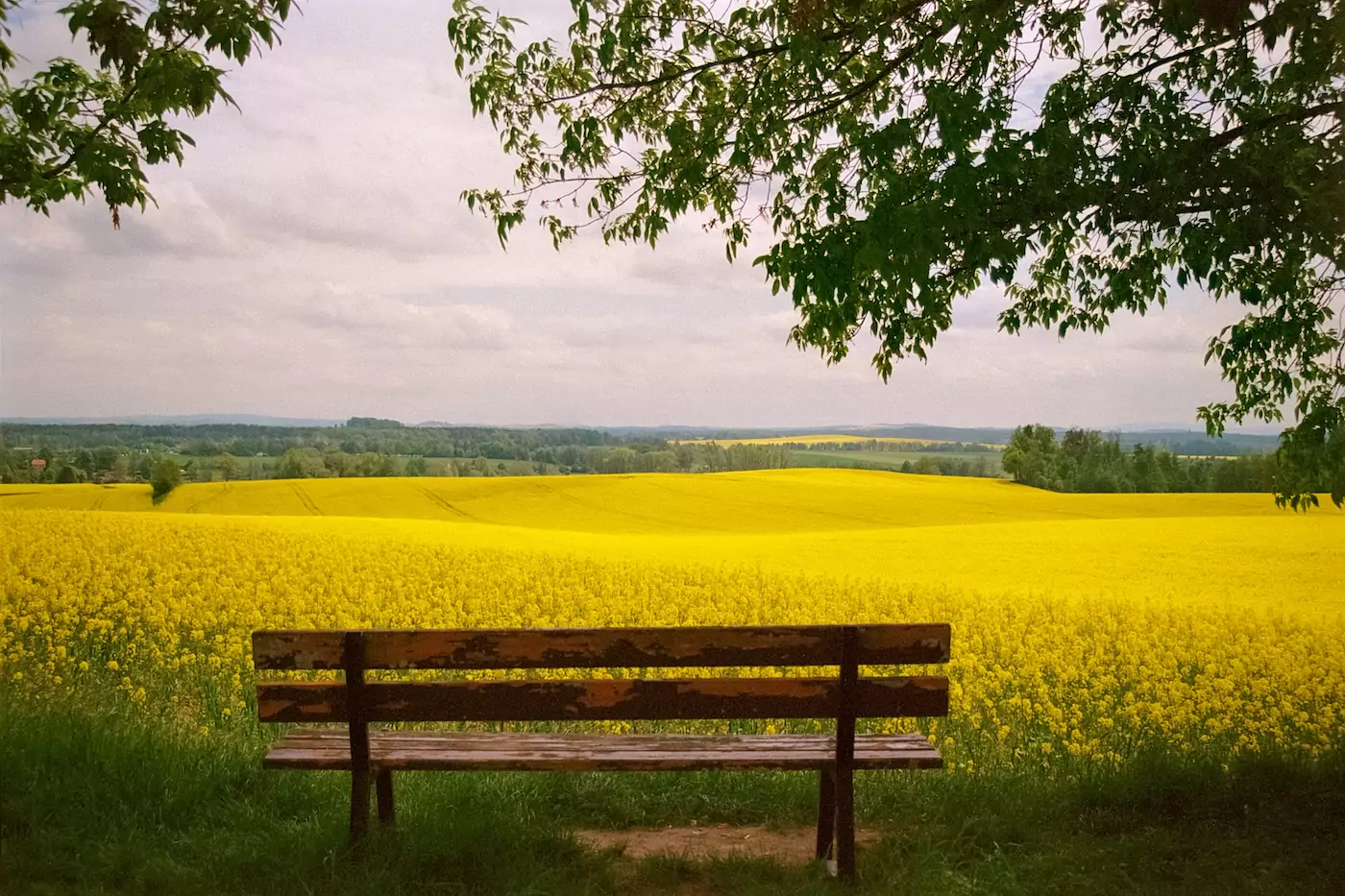Sommerferien 2025: So wird deine Reise ganz entspannt feature image