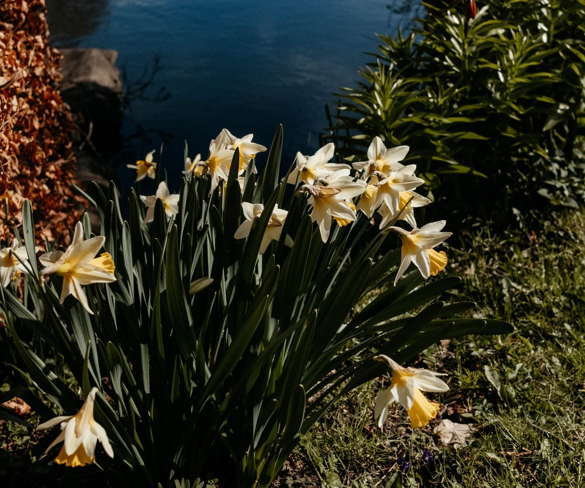 Guter Start in den Frühling: Ausflug, Mikroabenteuer & Naturfreuden feature image