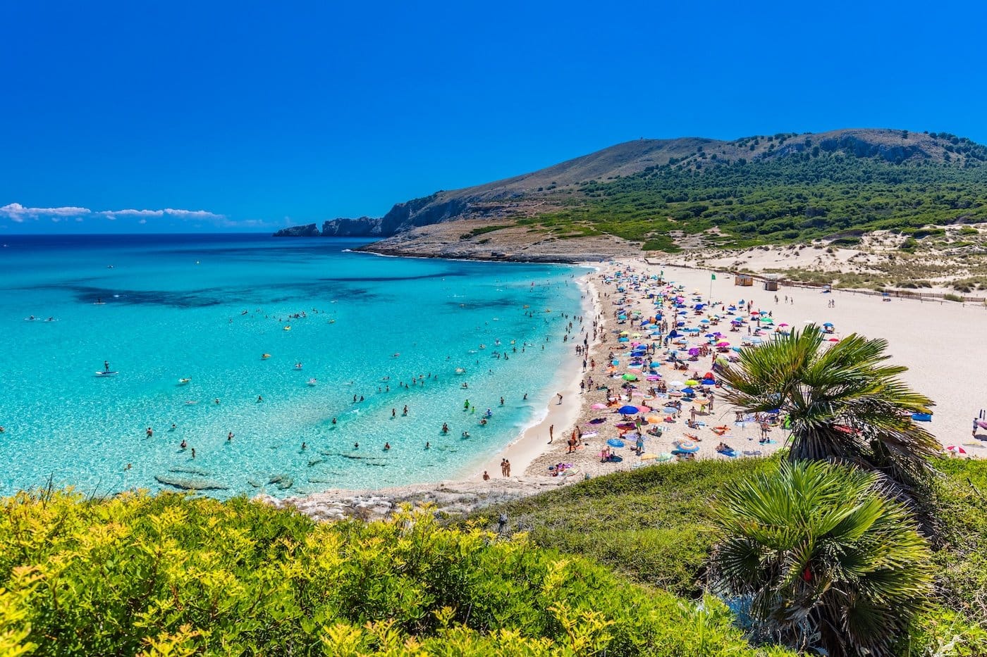 Mallorca: Tourismus sorgt auch 2025 für Wut unter Einheimischen feature image
