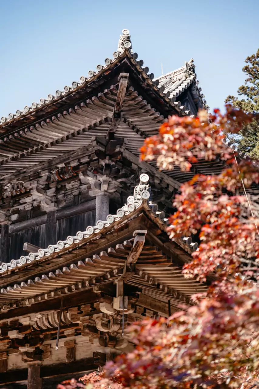 Japan Rundreise: 3 Wochen im Land der aufgehenden Sonne