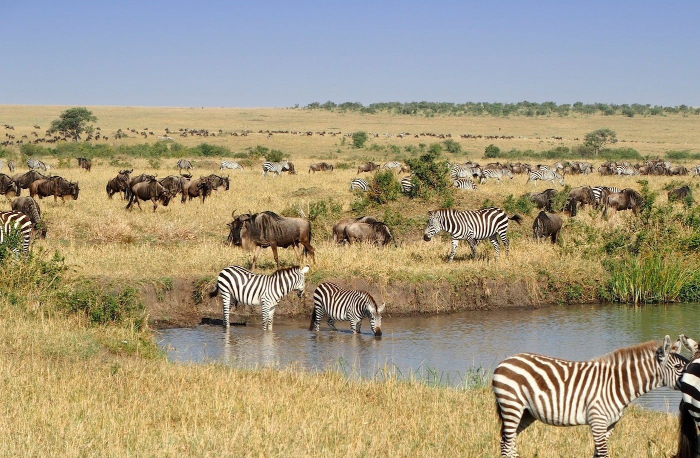 Afrika