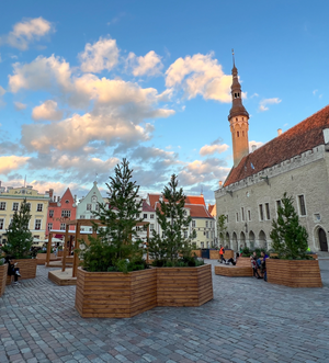 Hauptstadt von Estland mit 7 Buchstaben – die Lösung wird dich überraschen