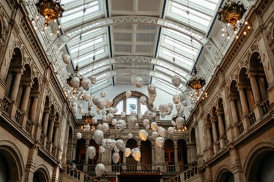 Entdecke Glasgow: Kelvingrove Art Gallery and Museum, Botanischer Garten & mehr