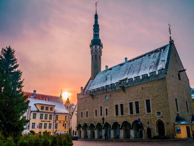 Coolcation 2025: Ab in den Norden – und raus aus der Hitze