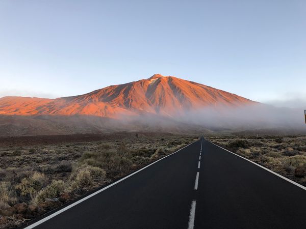 New travel website: Where can we carry you?