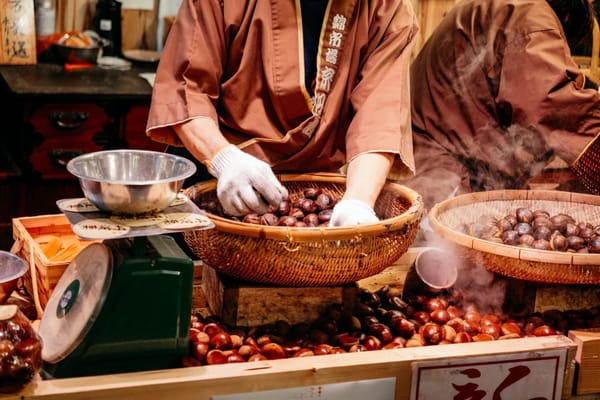 Überraschend: So viel kann deine Japan Reise kosten