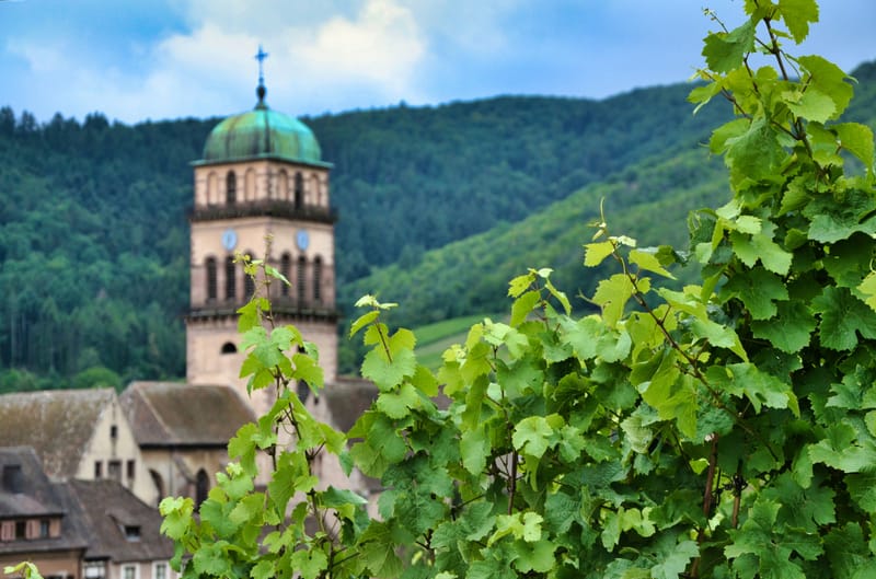 Mit dem Deutschland-Ticket ins Ausland: 7 Ausflüge mit dem Zug